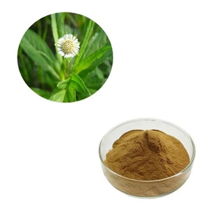 Poudre de Bhringraj pure à base de plantes pour la beauté naturelle et le soutien au bien-être, la poudre de Bhringraj est largement utilisée dans les formulations ayurvédiques - Product Image 4