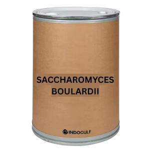 Poudre de probiotiques pure à 100 % de haute qualité IGC Saccharomyces Boulardii pour la prévention de la diarrhée chez les enfants - Product Image 1