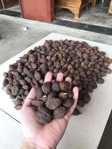 ราคาส่งออกกระวานดำคุณภาพพรีเมียม เครื่องเทศแห้งจากเวียดนาม ธรรมชาติ 100% อายุการเก็บรักษา 12 เดือน สำหรับปรุงอาหาร - Product Image 3