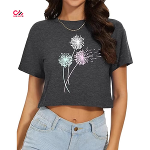 Camiseta corta de algodón de alta calidad con bordado floral, manga corta, cuello redondo, corte holgado, informal, para primavera/verano, 100% algodón jersey. - Product Image 1