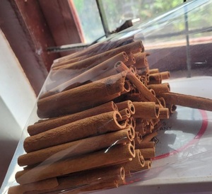 Canela marrón cruda seca AD de primera calidad para la preparación de condimentos alimenticios, directo de fábrica - Product Image 4