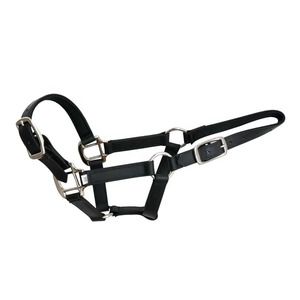 Harnes de PVC Impermeable y Resistente al Desgaste para Caballos de Montar Inglés - Product Image 5