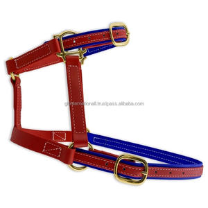 Licol de cheval de course conçu sur mesure en cuir véritable noir attrayant avec cheval de style selle anglais en PVC léger - Product Image 5