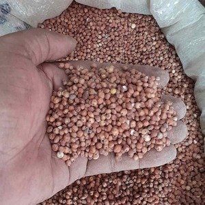 Millet rouge fin, grain soigneusement sélectionné, au goût naturel et aux bienfaits nutritionnels, adapté aux produits alimentaires modernes et sains - Product Image 1