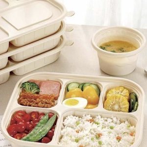 Hot Selling Eco-Friendly Cornstarch Biodegradable Food <b>Containers</b> for <b>Takeaway</b>, Lunch & Food Storage - Product Image 5