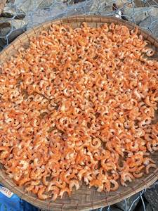 Crevettes séchées de qualité supérieure, prix d'usine, exportation mondiale, stock disponible |   Origine du Vietnam - Product Image 5