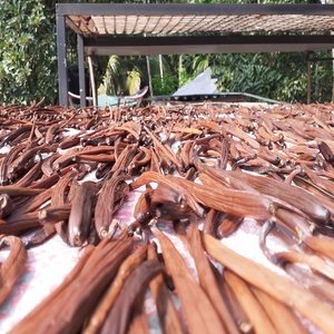 100% poudre de vanille moulue PURE [cuisson, cuisson] haricots de vanille de croissance naturelle nouvelle culture Sri Lanka - Product Image 5