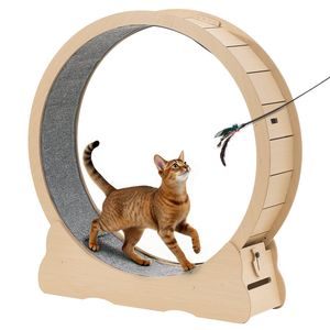 Quiet 48\" Wooden Indoor Cat <b>Exercise</b> <b>Wheel</b> 28 Lbs Treadmill Carpeted Runway Locking Mechanism Fitness Health Pet Sport Toys for - Product Image 1