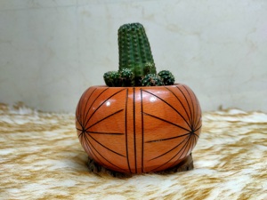 Maceta de madera tallada a mano con patrón circular, estilo rústico, para plantas de interior, para cactus, suculentas, decoración de escritorio - Product Image 2