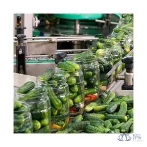 [HAUTE QUALITÉ] |   Concombres en conserve marinés dans de la sauce au vinaigre pour les apéritifs de restauration rapide et les pizzas, en provenance du Vietnam - Product Image 1