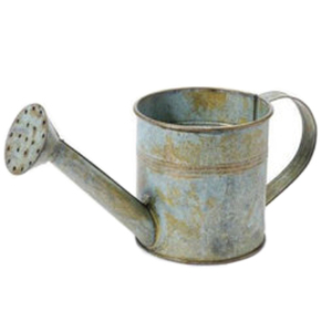 <b>Set</b> of 2 Metal Galvanized Watering Can With Long Spout Removable Shower Metal Iron Watering <b>Garden</b> Flower Can - Product Image 6