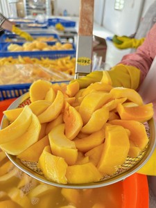 Cubos de Mango Congelados IQF |   Calidad Premium |   Origen Vietnam |   Listo para Usar |   Suministro al por Mayor - Product Image 4