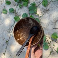 Ensemble bol et cuillère en coquille de noix de coco naturelle, au meilleur prix de gros / Ensemble bol et cuillère en bois de coco