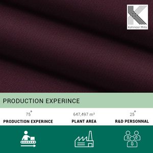 Pantalon en tissu sergé 3/1 en coton et élasthanne pour femme, couleur bordeaux, vente en gros, fabricant, 360 GSM, pantalon extensible lourd, personnalisé OEM ODM - Product Image 5