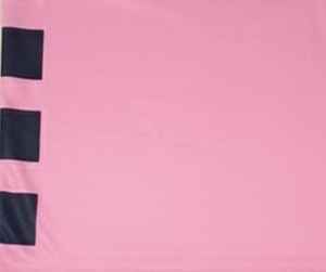 Ensemble de maillots de basket-ball pour femmes à croissance rapide, coupe ajustée, respirant, uniforme de basket-ball féminin - Product Image 4