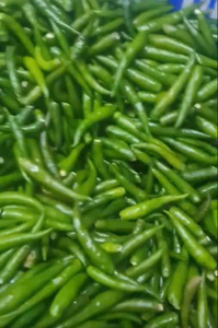 Chiles Rojos Enteros Congelados IQF de Vietnam, Suministro a Granel, Chiles Congelados IQF para Procesamiento de Alimentos, Grado de Exportación - Sra. Tarina - Product Image 4