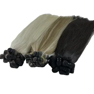 Black to blonde color natural straight machine weft hair Vietnamese human hair extensions no chemical process cuticle aligned ha