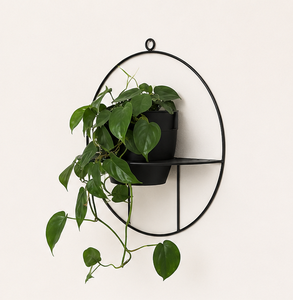 Modern Minimalist Circular Metal Wall Planter Black Powder Coated Iron Hanging Plant <b>Pot</b> for Indoor Living Room & Garden - Product Image 5