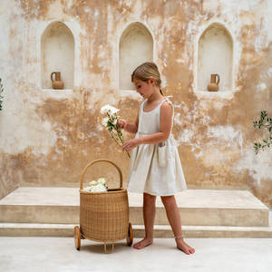 Panier à roulettes en rotin pour filles, sac d'école, valise, panier à roulettes pour la décoration de chambre d'enfant - Product Image 4