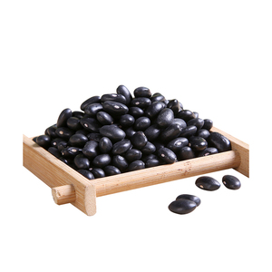 Frijoles negros disponibles para la venta a precio de mayoreo para compradores al por mayor - Product Image 3