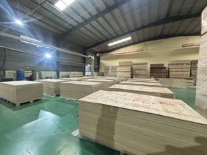 Contrachapado de Pino de Grado AA de Larga Duración, 9/12/15/18 mm, de Fábrica Vietnamita, Bajo Precio, para Encofrados, con Estándares de Emisión de Formaldehído E0 - Product Image 4