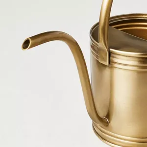 Modern Gold <b>Watering</b> <b>Can</b> with Long Spout <b>Indoor</b> Plant <b>Watering</b> Pot Small Metal Garden Jug for Houseplants and Home Decor - Product Image 3