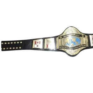 Ceinture de champion de lutte personnalisable de qualité supérieure, design unique pour événements et exposition - Product Image 4