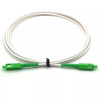 Jarretière à fibre optique blanche 1.5m 2m 3m 3.5m Cordon de raccordement SCAPC avec connecteur SCAPC Type G657a2 Jarretière à fibre optique blanche