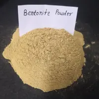 Indian Origin Bentonite Clay Powder or Lumps, All Grades