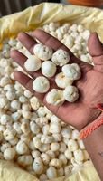 Super Premium Handgeplukte Selecte Makhana AD Gedroogde Zoete Lichte Knapperige Magere Bulk Snack India Exporteur EXPORT DESI 12-Maanden
