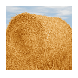 Nutrient-Rich Dried Wheat Straw Bedding Packaged <b>Bags</b> Optimal Animal Feed Use Super Grade 24-Month Shelf Life for Cattle <b>Pigs</b> - Product Image 1