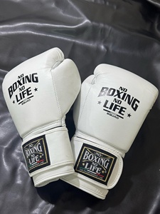 Gants d'entraînement de boxe et de MMA en cuir de vachette de qualité supérieure, style mexicain, personnalisés blancs, « No Boxing No Life », à lacets - Product Image 6