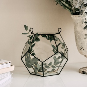 Terrarium miniature en verre au design unique avec cadre en métal noir pour décoration murale, vente en gros - Product Image 2