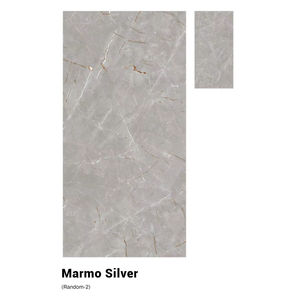 Azulejos de porcelana esmaltada de superficie refinada 24X48 diseñados para interiores equilibrados, pisos lisos y durabilidad a largo plazo - Product Image 1