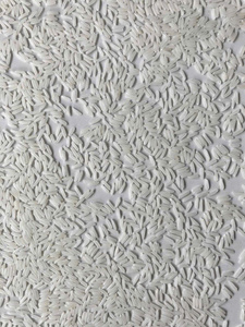 Arroz Basmati Hom Mali Perfumado Seco de Calidad de Exportación del Mekong del Sur de Vietnam, 5% de Grano Partido, Estándar UE y EE. UU., Nueva Cosecha, Grano Largo - Product Image 4