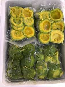 Avocat congelé | Meilleur prix de haute qualité 100% d'avocat biologique pour les smoothies du Vietnam - Product Image 3