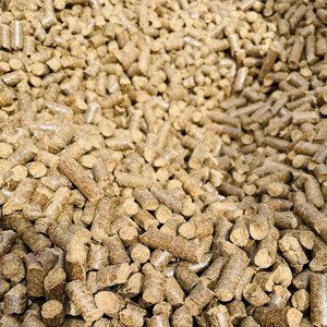 Desde Tailandia por XINTHAI: Producción de Energía Limpia y Sostenible Mediante Pellets de Madera de Caucho de Alta Densidad - Product Image 5