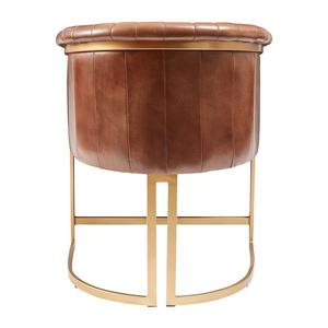 Chaises de salle à manger design avec coussin en tissu doux et structure en bois robuste pour les espaces de vie modernes - Product Image 5