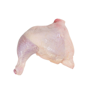 Muslos de Pollo Halal Congelados Orgánicos Premium, Vitaminas Musculares, 100% Carne de Pollo, Sin Gluten - Product Image 6