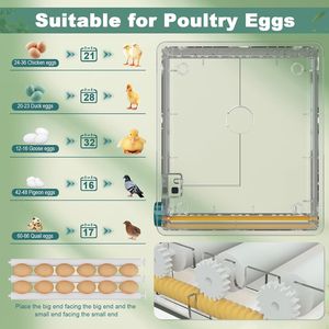 Incubatrice per 36 Uova di Alta Qualità, Automatica con 4 Modalità, per Uova di Gallina, con Funzione di Rotazione, Realizzata in PC e PP - Product Image 3