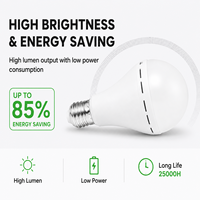 Ampoule LED d'urgence personnalisée OEM/ODM avec batterie Li-ion en plastique, AC110V-220V, économe en énergie, pour projets d'éclairage commercial en gros