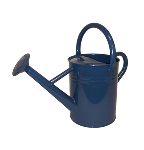 Arrosoir de jardin en métal avec long bec, double poignée et douchette amovible, arrosoir à plantes en métal durable pour l'intérieur - Product Image 1
