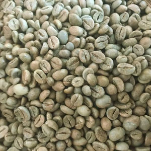 Café Vert Arabica Biologique Premium du Vietnam, Grade AA+, Certifié ISO 22000, Approvisionnement en Gros TNFOOD - Product Image 1