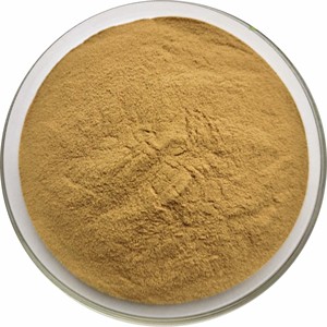 Extrait de feuille de séné de qualité supérieure 10:1, poudre de séné de qualité alimentaire pour le soutien digestif, approvisionnement en vrac, poudre de feuille de séné finement moulue - Product Image 2