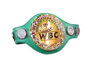 เข็มขัดแชมป์มวยปล้ำแบบปรับแต่งได้ เข็มขัดยกน้ำหนัก เพาะกาย ฟิตเนส ออกกำลังกาย ยิม ศิลปะการต่อสู้ เข็มขัดคาราเต้ - Product Image 3