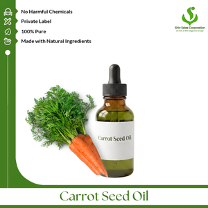 <b>Bulk</b> Carrot Seed Oil Manufacturer Offering Premium Quality Essential Oil in Industrial Packaging for International Distributors - Product Image 1