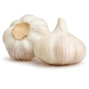 Ail frais naturel en vrac, fournisseur d'ail de qualité export pour le commerce international alimentaire et horticole - Product Image 2