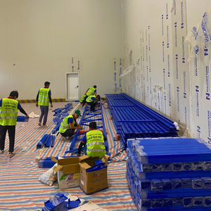 Diseño de Almacenamiento de Palés de Doble Profundidad con Estantes de Doble Cara para un Uso Eficiente del Espacio del Almacén - Product Image 2