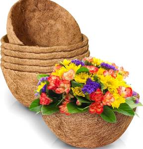 Pot de culture en fibre de coco biologique – Jardinière écologique pour semis, idéale pour la maison, le jardin et les applications en pépinière - Product Image 3