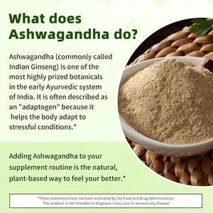 Cápsulas de Ashwagandha de Marca Privada OEM ODM, 60 Unidades para Mercados Minoristas y Proveedor al por Mayor de Cápsulas de Ashwagandha, 60 Unidades - Product Image 4